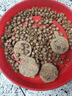HELLOJOY狗狗零食磨牙棒比熊泰迪中小型犬磨牙洁齿 鸡肉绕奶棒100g 实拍图