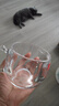 原矿水晶石头杯水晶杯玉石茶杯高档水杯轻奢玻璃杯原石手工带盖 透明【水晶玻璃】377ml1只 实拍图