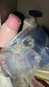 宜婴弱酸水果拉拉裤XXXXL30片(17-19kg)婴儿尿不湿学步裤超薄透气 实拍图