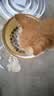 LEGENDSANDY蓝氏全价猫粮生鲜高能系列成猫幼猫 试用 试吃 猎鸟乳鸽 50g*5 实拍图