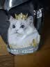 亿迪猫粮冻干幼猫成猫10斤全价英短蓝猫布偶老年猫国产通用全阶段5kg 实拍图