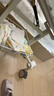 全棉时代婴儿口水巾儿童洗脸毛巾纯棉纱布手帕礼盒装火烈鸟4条装25×25cm 实拍图