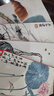 4册《齐白石画集》一卷花鸟二卷果蔬三卷鱼虾蟹四卷山水人物8开画册写意范本书籍虫草牡丹荷花中国画技法教材程 实拍图