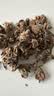 盛世得意云南普洱茶熟茶老茶头碎银子 秋冬喝 自己喝 伴手礼礼盒装送长辈 十年料 老茶头50g【单罐】 实拍图