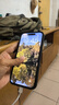 奶小鸭（NEYAA） 适用苹果15promax手机壳 iphone15promax保护套全包硅胶防摔超薄创意卡通简约软壳男女款 石墨黑 实拍图