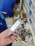 初工挂锁 防水锁头门锁工具锁 家用学校商铺门锁小防盗窗锁小挂锁30mm 实拍图
