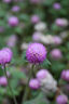 适马（SIGMA）16-300mm f3.5-6.7 DC OS ｜Contemporary 半画幅 远摄变焦镜头 旅游风光人像（索尼E卡口） 实拍图