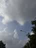 泰明扬新疆三文鱼中段原切 去皮去骨刺国产虹鳟 整块切片非即食冷冻冰鲜 去皮中段整块 1200g 【400g*3盒】 冷冻【可以存放】 实拍图