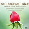 贡苑云南玫瑰花茶260g特级重瓣大朵无熏硫头采新花助眠 实拍图