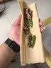 煎饼山东杂粮煎饼无添加正宗临沂全麦煎饼小麦玉米全粗杂粮软大卷 山东杂粮煎饼净重3斤/袋 实拍图