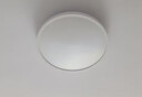 正泰吸顶灯LED卧室灯阳台过道灯具超薄三防灯白光高亮灯饰36W正白光 实拍图