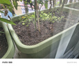 德沃多蔬菜专用营养土50L园艺种菜土壤盆栽果蔬养花土种植基质土 实拍图