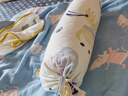 babycare婴儿安抚枕头宝宝多功能抱枕透气枕头6月-6岁-比奇角恐龙39*12cm 实拍图
