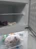 美的小冰箱迷你冰箱家用小型冷藏冷冻两用1-2人宿舍一人出租房2-3人用小户型3-4办公室电冰箱2026新款 【重磅新品】新品113升双温小冰箱 实拍图