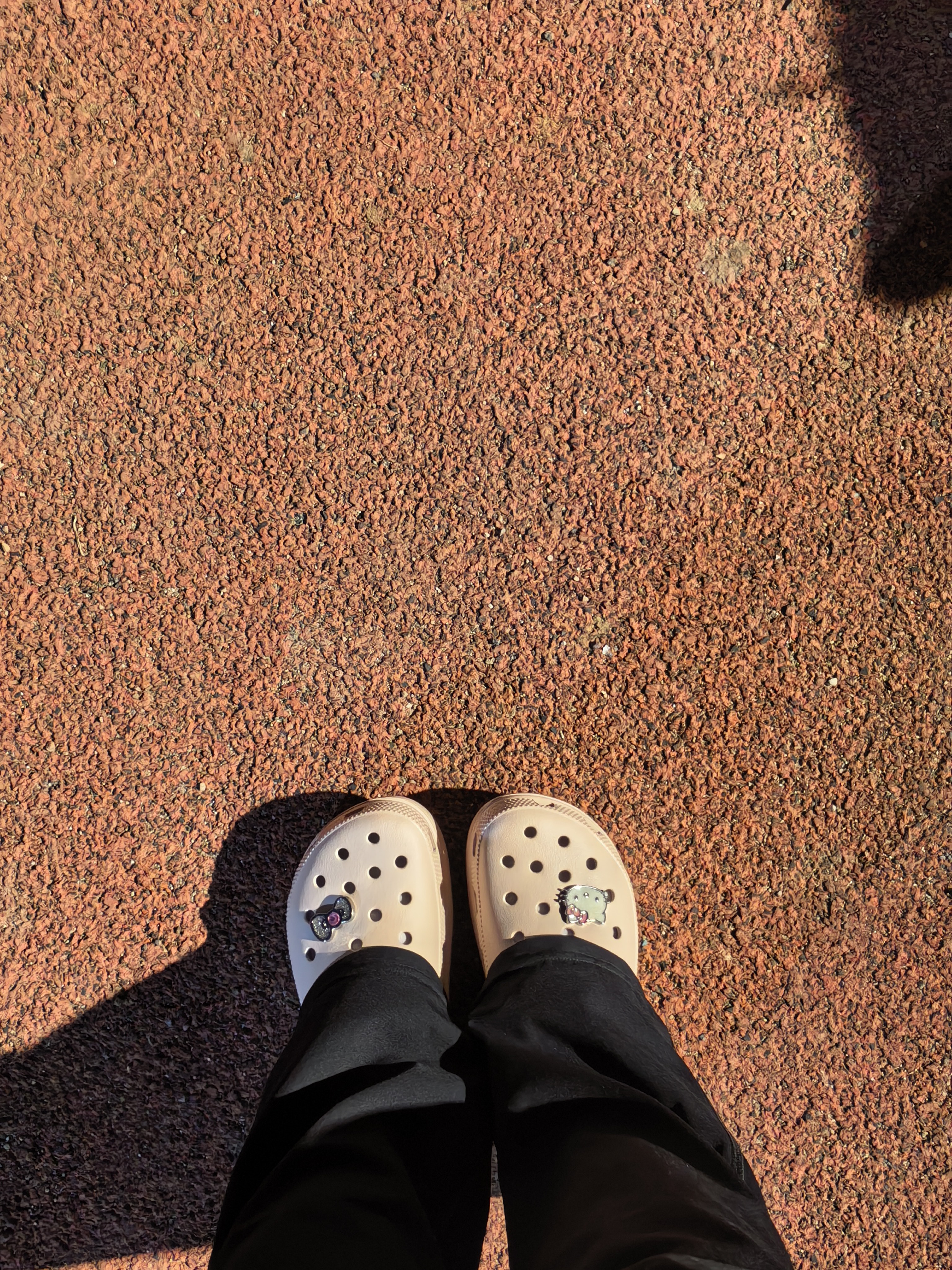 卡骆驰（CROCS）白鹿同款云朵洞洞鞋|206750 石英粉-6UR 35(220mm) 实拍图