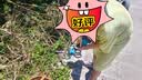 绿林电动剪刀剪树枝9件套充电果树园林修枝修枝剪子园艺剪铁皮两电 实拍图