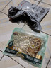 三只松鼠开心果500g/袋装 坚果炒货无漂白干果休闲零食品送礼 实拍图