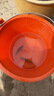 至本舒颜修护洁面乳120g 温和清洁氨基酸表活保湿泡沫绵密洗面奶男女 实拍图