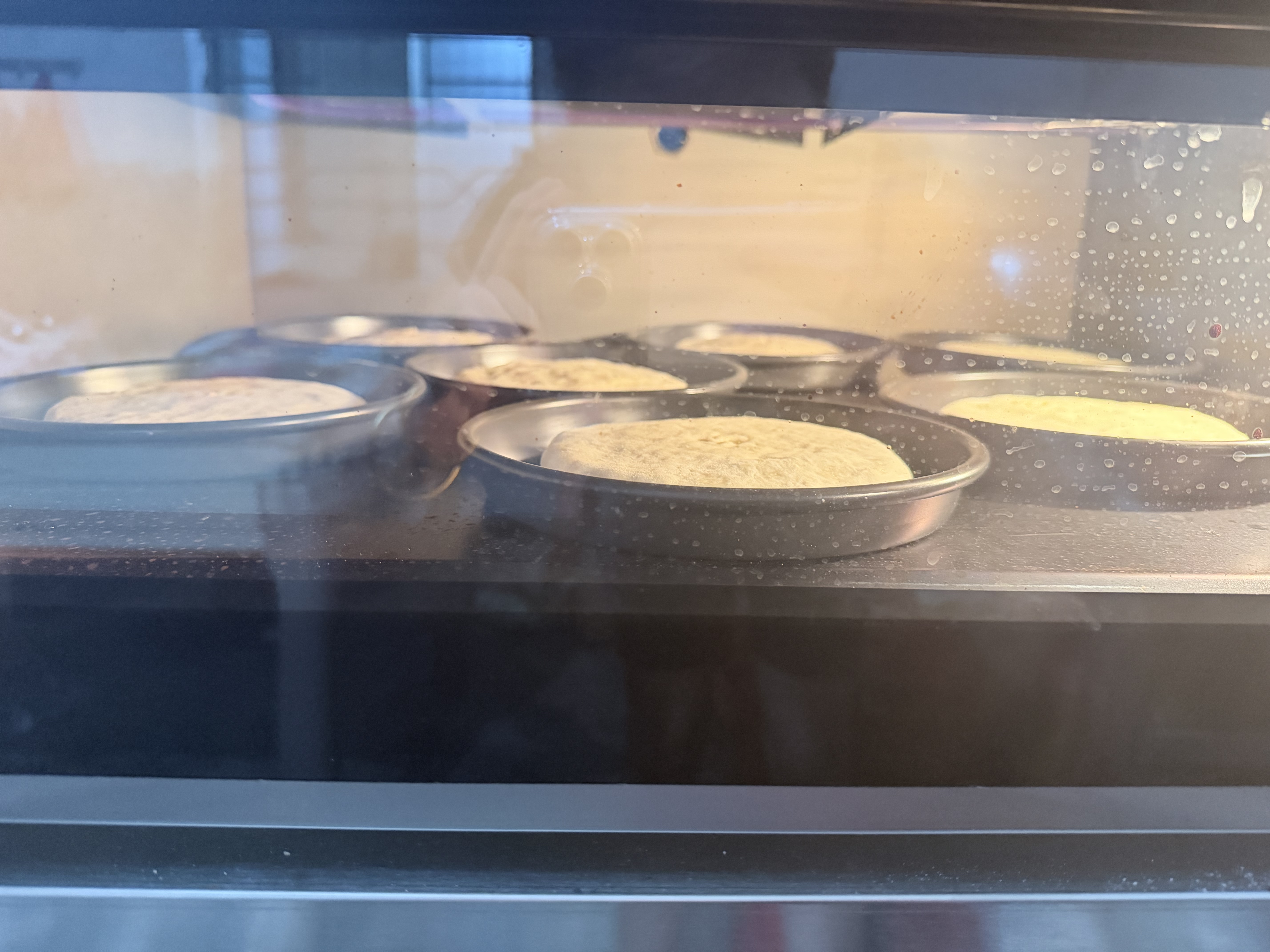 志高（CHIGO）商用烤箱电烤箱商用大型专业烤炉蛋糕面包月饼披萨烘炉焗炉烘培专用设备 一层一盘烤箱(220V/4KW) 实拍图
