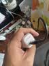 ANKER安克20W冰点充 苹果17充电器type-c快充usb pd氮化镓适用iPhone16promax15/14/13手机iPad插头 粉 实拍图