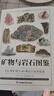 矿物与岩石图鉴 231种矿物与65种岩石的鉴别指南，纸上博物馆，矿石大百科！清晰彩图，通俗易懂 实拍图