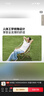 牧高笛（MOBIGARDEN）折叠月亮椅 户外露营便携懒人椅躺椅露营椅子 NX25665013 冬竹青 实拍图