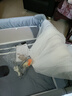 FORSUNNY婴儿床可移动0-3岁多功能拼接宝宝床可折叠新生儿摇摇床哄睡神器 免安装升降护栏婴儿床+尿布台+蚊帐 高配款 婴幼儿用品母婴必备活动晒图送椰棕床垫 实拍图