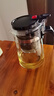 飘逸壶泡茶壶耐热高温玻璃沏茶过滤内胆冲茶器家用茶具套装 飘逸杯500mL1个 实拍图