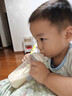 佳贝艾特（Kabrita）悦白婴幼儿配方羊奶粉3段(1-3岁)150克 羊奶小分子 实拍图