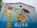 FILA斐乐蕨草凉鞋｜运动凉鞋夏季男鞋透气凉拖厚底运动鞋子 实拍图