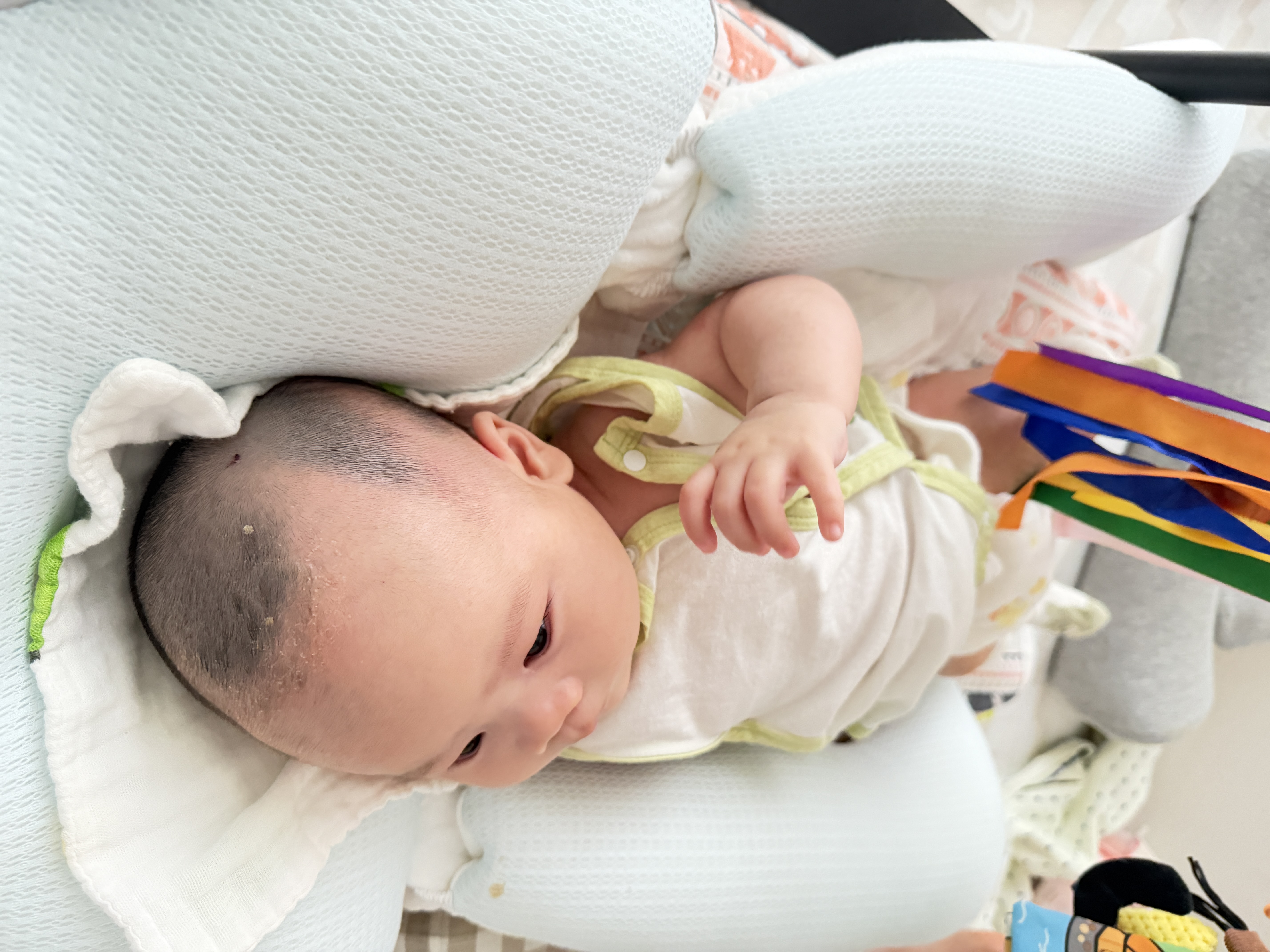 贝肽斯婴儿定型枕0-6个月圆头防偏头型宝宝枕头新生儿护颈枕0-2岁白蓝色 实拍图