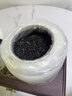 印象堂金骏眉红茶新茶500g陶瓷茶叶礼盒装送人端午送长辈父亲节 实拍图
