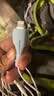Apple/苹果 EarPods 闪电/Lightning有线耳机 iPhone耳机原装耳机适用闪电接口的手机平板 实拍图
