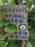 索迪吹泡泡机枪棒婴儿童玩具男女孩电动手持全自动婚礼生日礼物1-3岁2 实拍图