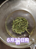 乐品乐茶明前特级毛尖绿茶2026新茶嫩芽春茶茶叶礼盒装250g伴手礼送长辈 实拍图
