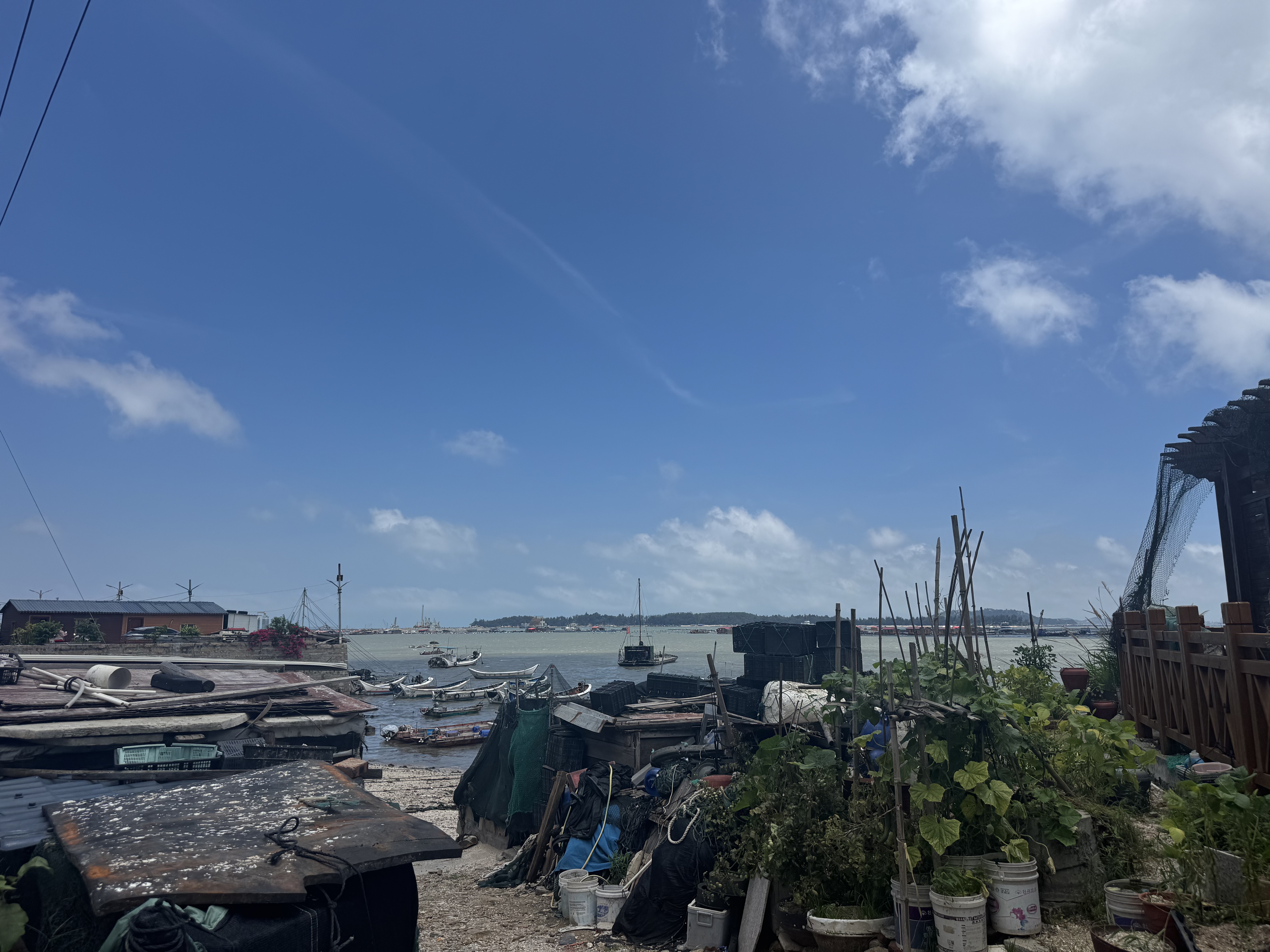 四万公里晾衣架落地折叠挂衣架晾衣杆阳台不锈钢晒衣架翼型室内外晒被架 实拍图