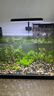 沃韦朗（VOONLINE）鱼缸灯水草灯LED全光谱草缸水族夹灯 【水草版】沃韦朗夹灯16W 实拍图