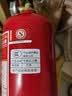 淘雅车载灭火器车用1KG家用2KG手提干粉国标小汽车年检年审私家车桥车 1KG干粉灭火器（国标）车用 实拍图