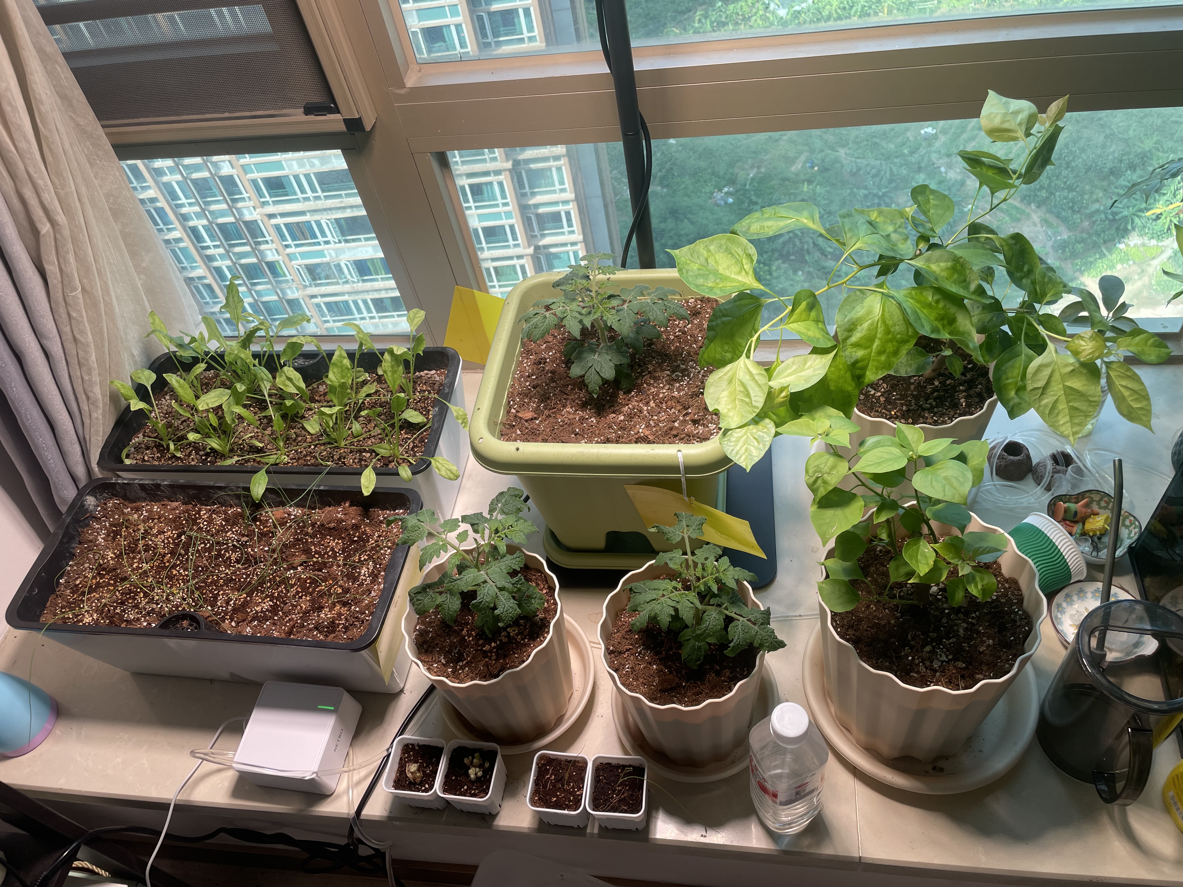 三思植物补光灯仿太阳全光谱 全光谱植物灯 盆栽绿植-125W落地遥控灯 实拍图