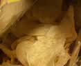 乐事（Lay's）薯片 得克萨斯烧烤味 135克*7包 休闲零食 膨化食品 实拍图