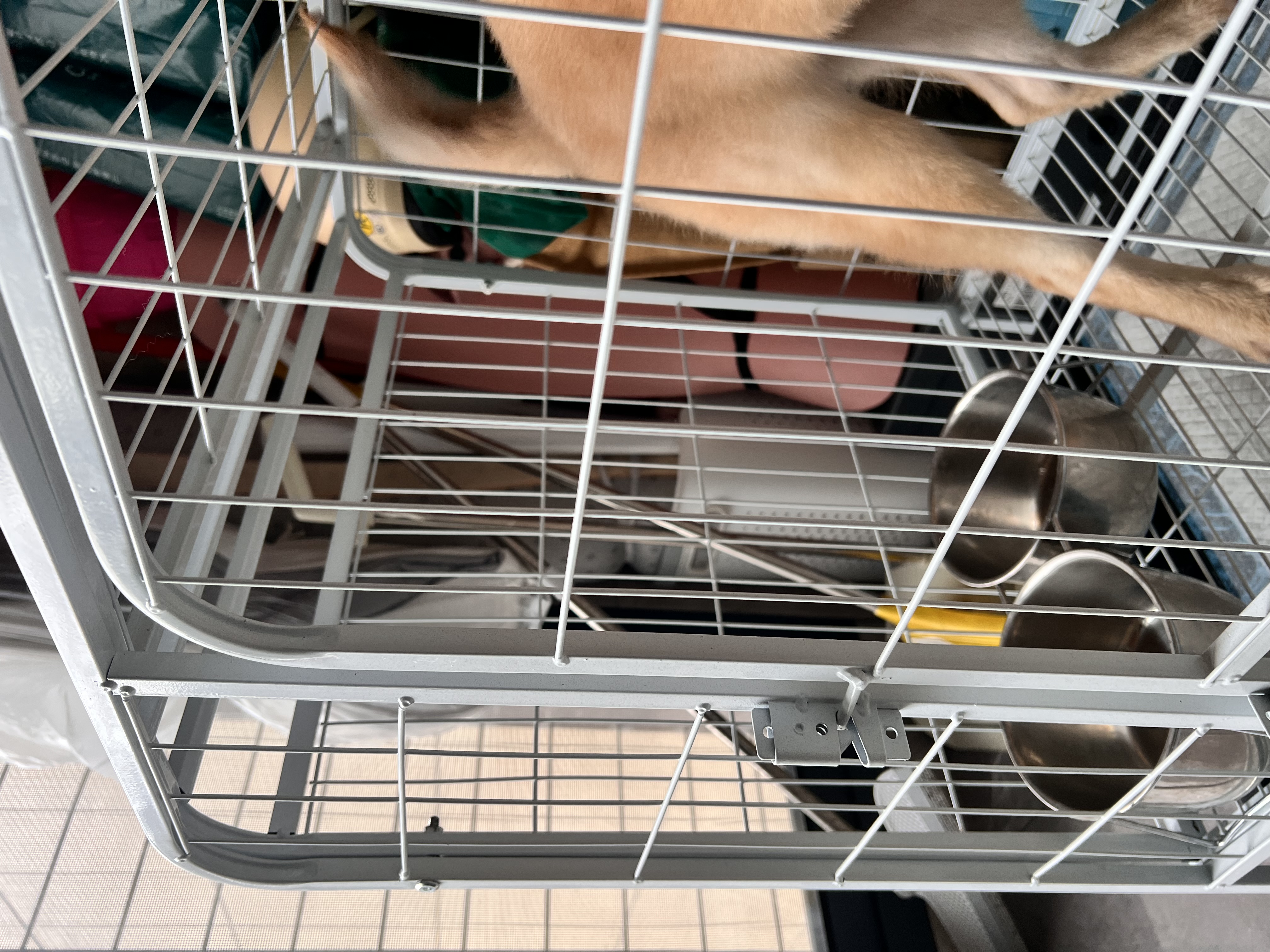 酷奇宠狗笼方管狗笼子大中小型犬金毛加粗宠物狗狗笼子狗屋用品 白色带天窗78*54*73cm 建议30内中小型犬 实拍图