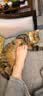 伟嘉成猫猫粮3.6kg海洋鱼味布偶夹心粮【原料透明】 实拍图