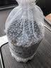 华饰 车内除味活性炭竹炭包汽车用品新车除味除甲醛车载摆件空气清新 实拍图