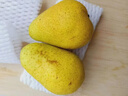 粤迎山东烟台太婆梨【JD顺丰送货上门】新鲜当季梨子软糯香甜大头蕉梨 1斤尝鲜装【当季尝鲜装-较不划算】净0.8斤 A+级精选果【单果100g+】甜 实拍图