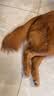海洋之星 主食冻干双拼狗粮小型犬中大型犬成犬幼犬粮10kg 实拍图