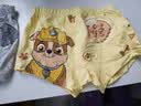 汪汪队立大功（PAW PATROL）儿童内裤男宝宝短裤小孩棉质四角平角裤4条装PA089 100 实拍图