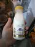 每日鲜语鲜牛奶 A2β-酪蛋白鲜牛奶185ml*6 巴氏杀菌乳 低温鲜奶 实拍图