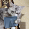 HELLOJOY宠物猫狗梳子猫毛狗狗毛梳子去浮毛脱毛猫咪梳毛刷神器大型犬用品 实拍图