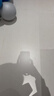 汰渍净白去渍洗衣粉柠檬清新10斤装 强效去渍 大袋批发非皂粉家庭装 实拍图