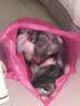 麦富迪猫粮 超肉粒冻干双拼成猫粮美毛护肠三文鱼10kg/20斤【宠物金选】 实拍图